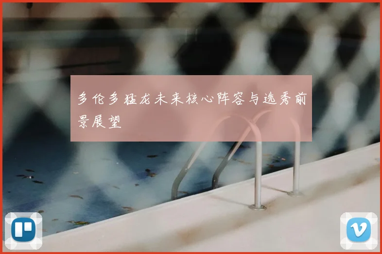 多伦多猛龙未来核心阵容与选秀前景展望