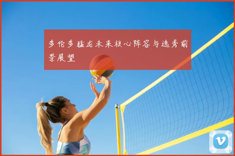 多伦多猛龙未来核心阵容与选秀前景展望