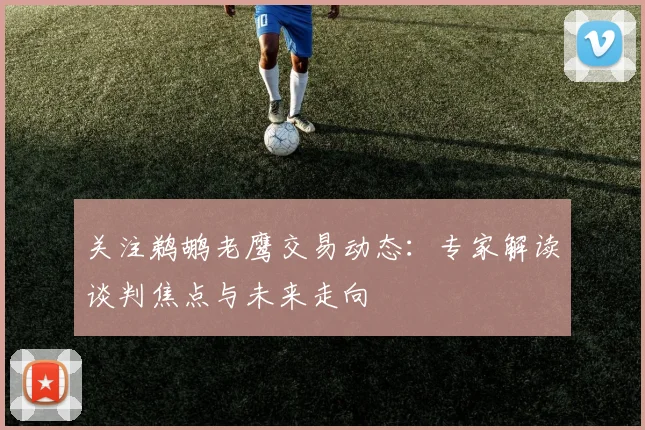 关注鹈鹕老鹰交易动态：专家解读谈判焦点与未来走向